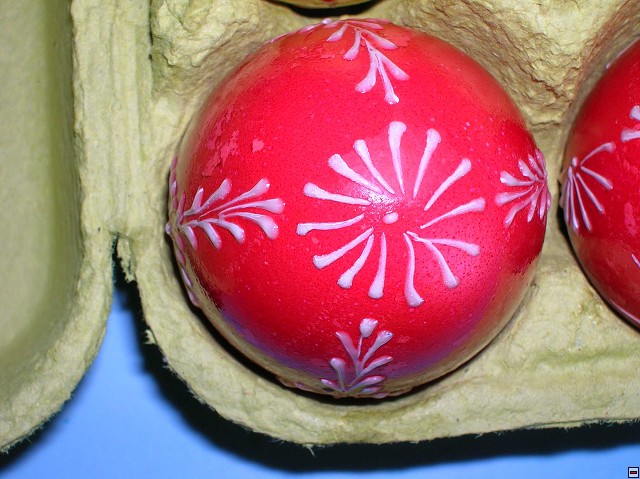 img00232.jpg