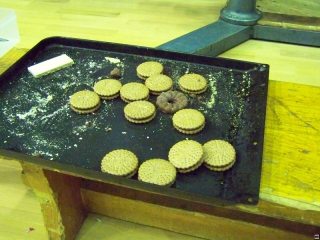 img00253.jpg