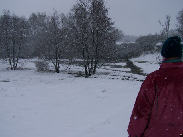 img00258.jpg