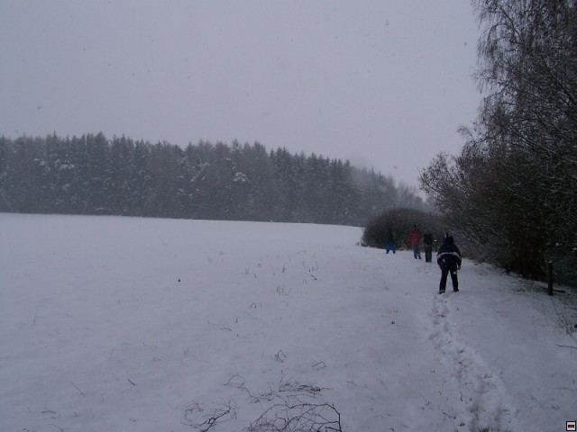 img00259.jpg