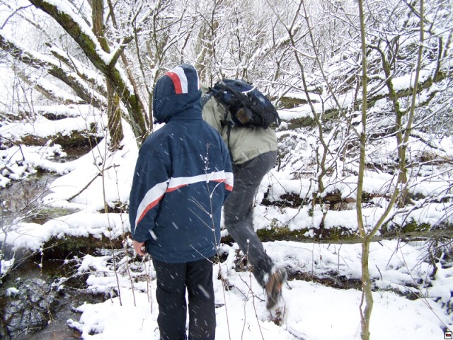 img00260.jpg