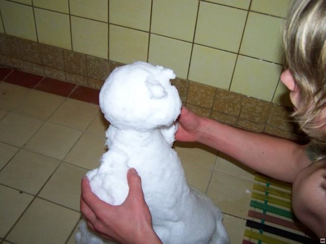 img00276.jpg