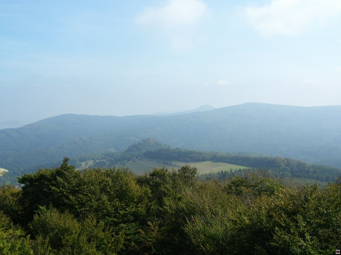 img00021.jpg