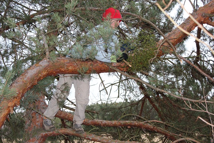img00005.jpg
