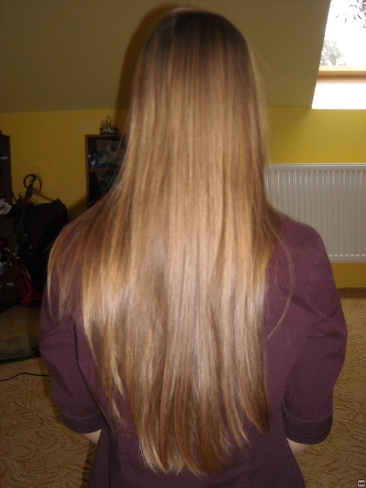 img00040.jpg
