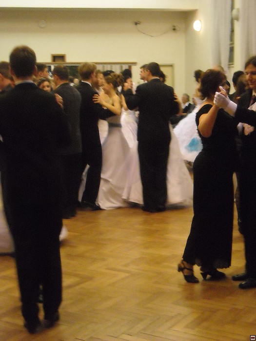 img00080.jpg
