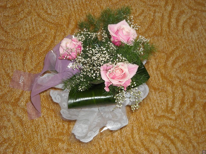 img00101.jpg