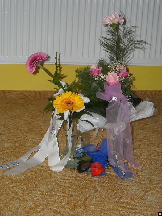 img00104.jpg