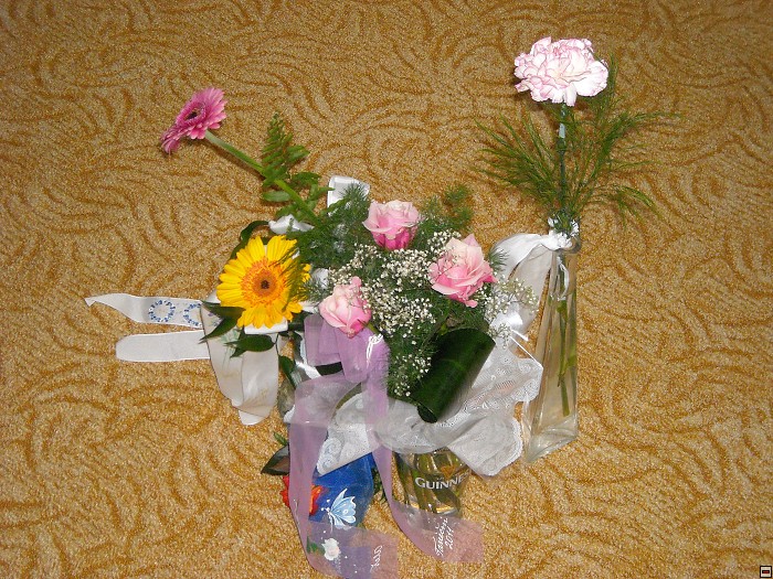img00105.jpg