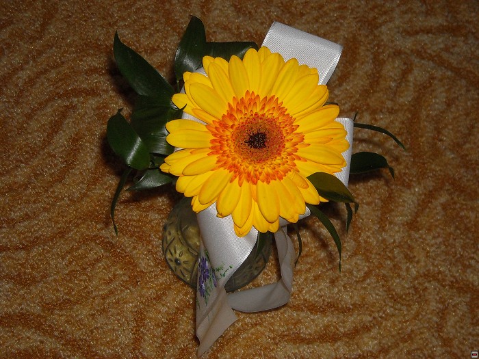 img00106.jpg