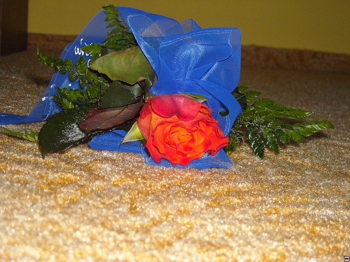 img00107.jpg