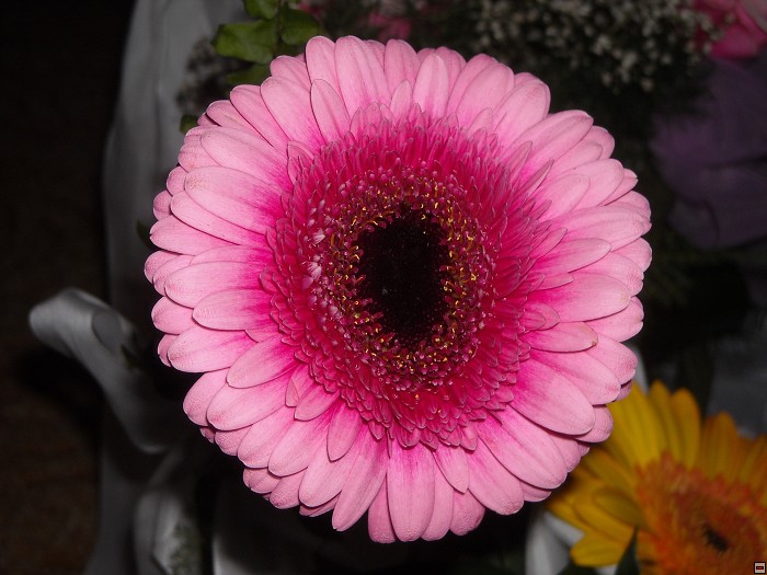 img00108.jpg