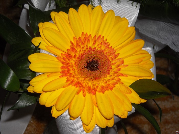 img00110.jpg