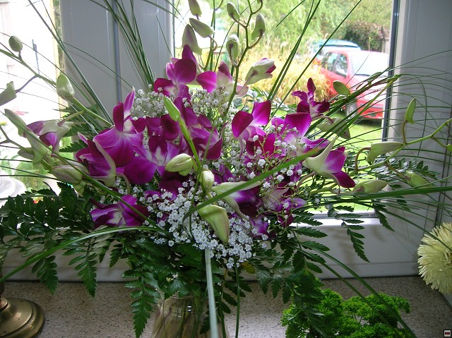 img00003.jpg