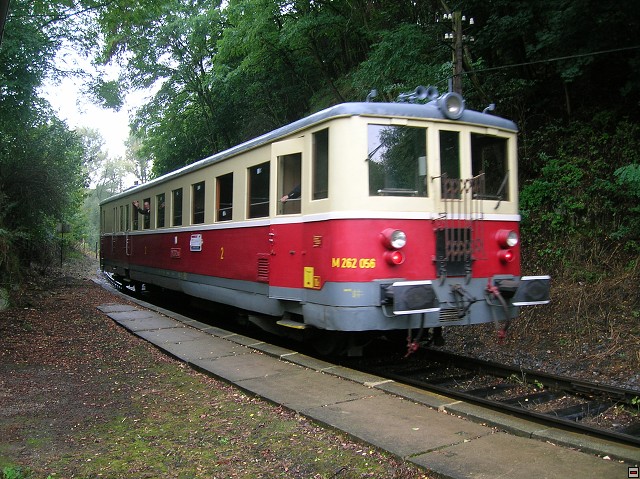 img00007.jpg