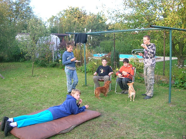 img00026.jpg