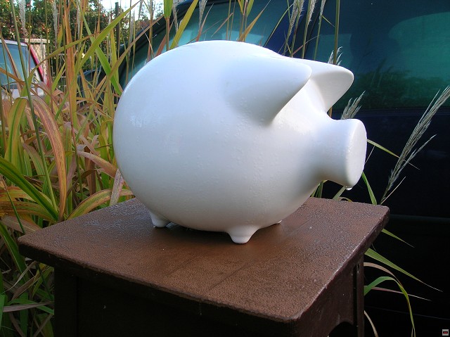img00068.jpg