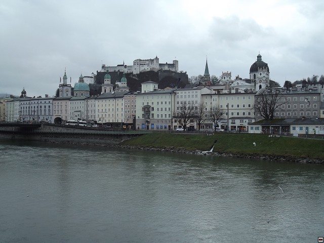 img00008.jpg