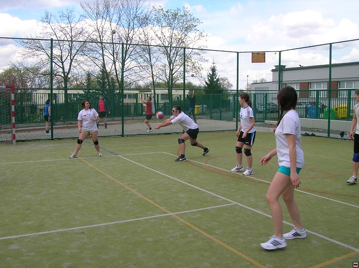 img00084.jpg