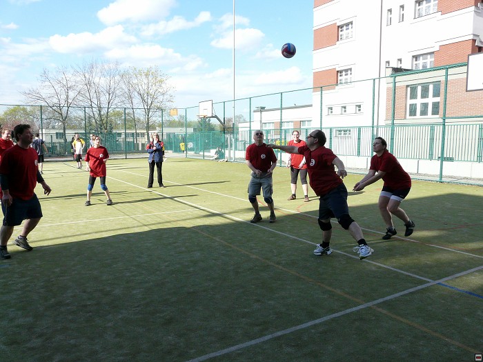 img00239.jpg