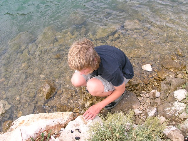 img00013.jpg