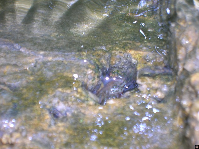 img00014.jpg
