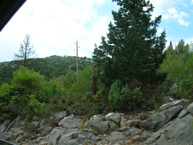 img00018.jpg