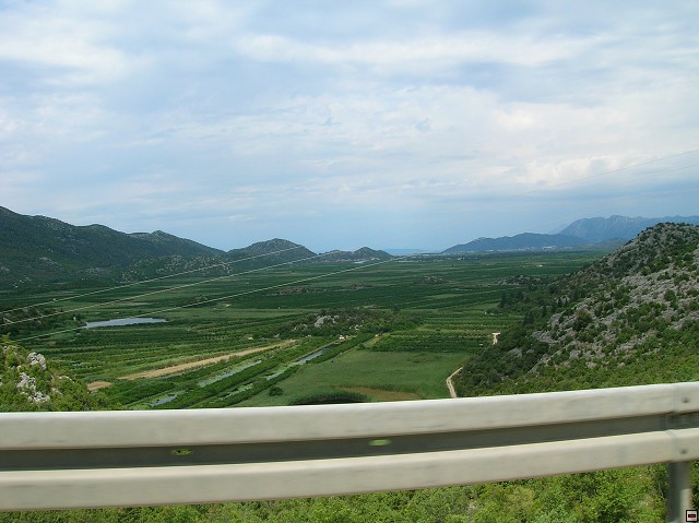 img00020.jpg