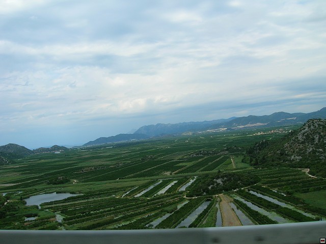 img00022.jpg