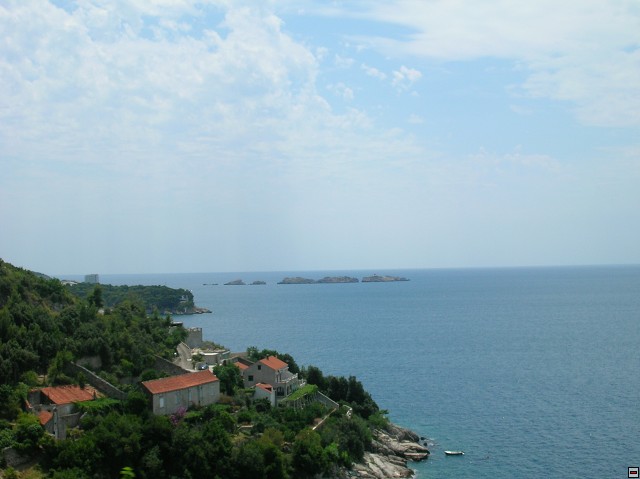 img00036.jpg