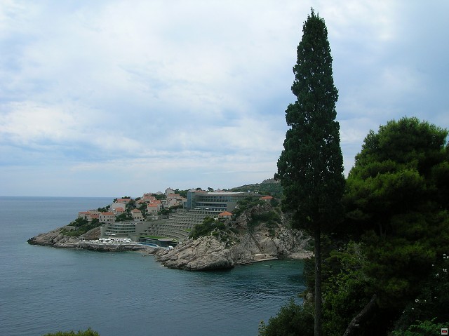 img00046.jpg