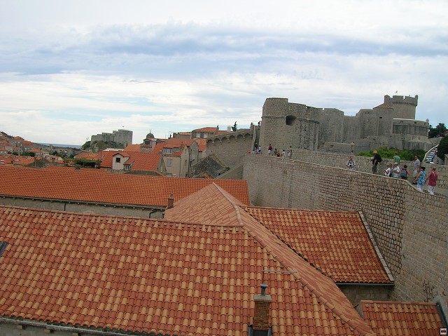 img00062.jpg