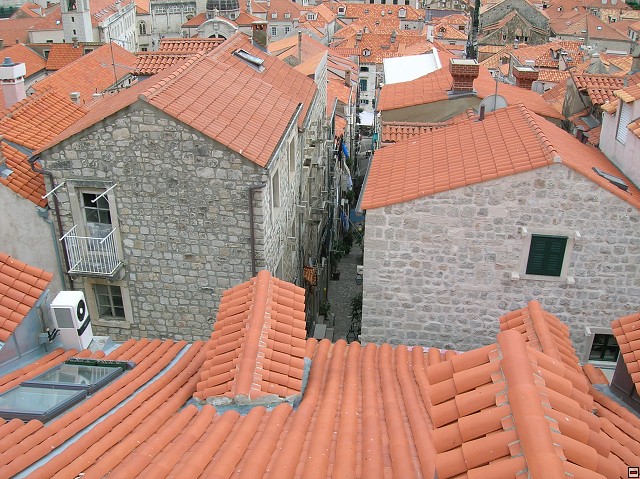 img00064.jpg