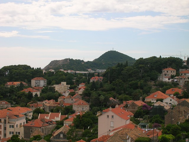 img00077.jpg