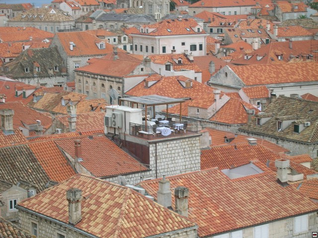img00081.jpg