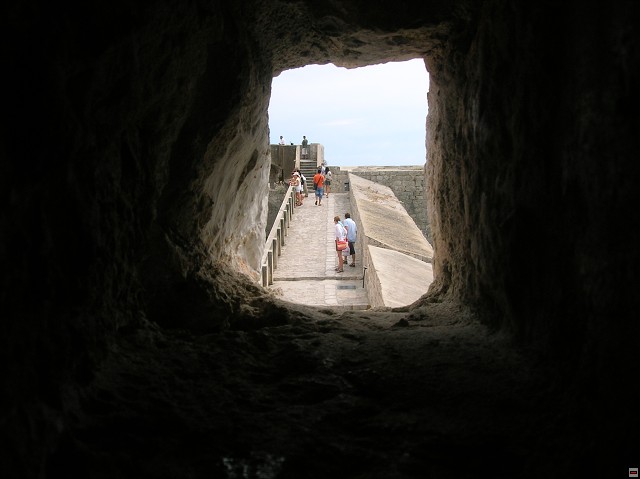 img00090.jpg