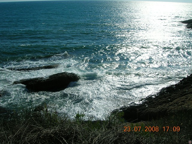 img00113.jpg