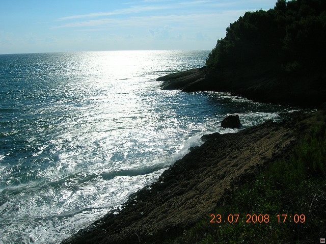 img00114.jpg