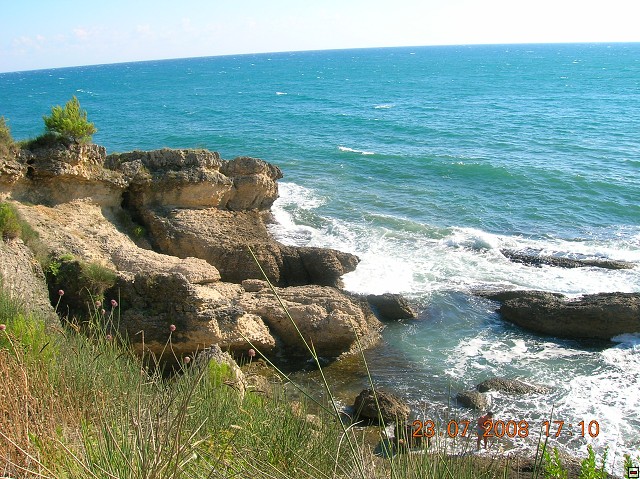 img00115.jpg