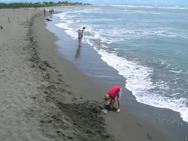 img00130.jpg