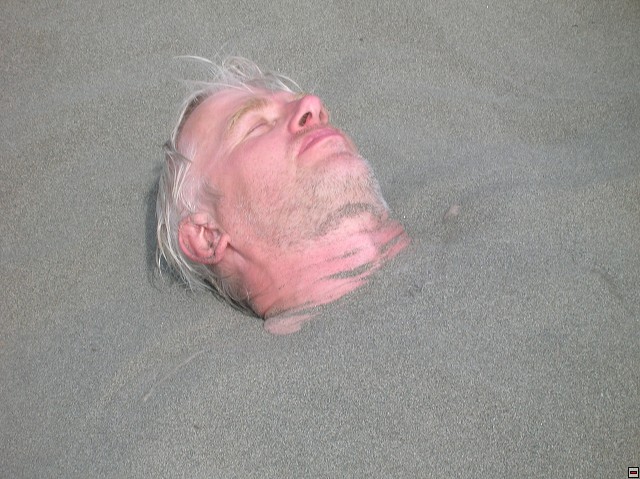 img00132.jpg