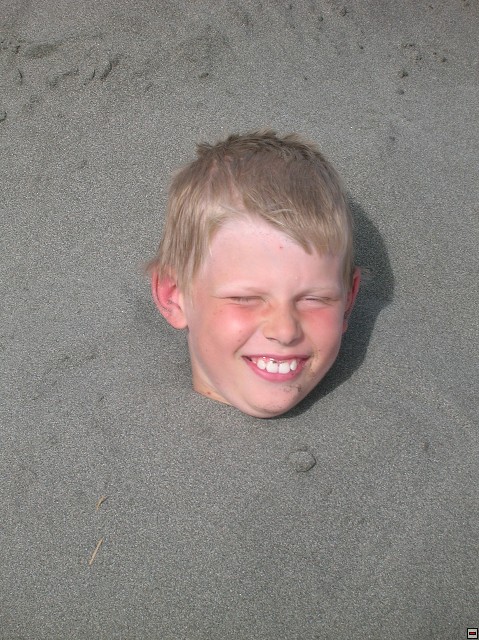 img00134.jpg