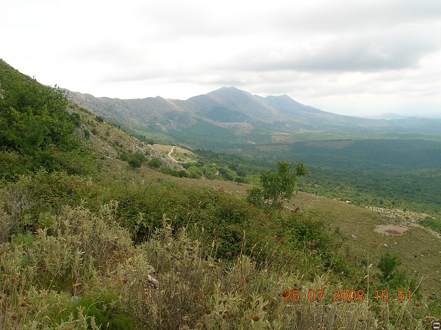 img00140.jpg