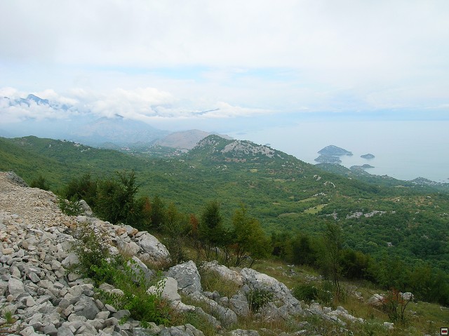 img00145.jpg