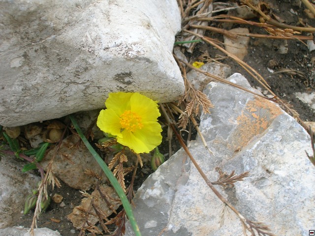 img00148.jpg