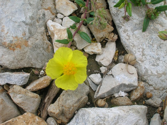 img00149.jpg