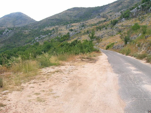 img00159.jpg