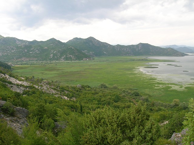 img00170.jpg
