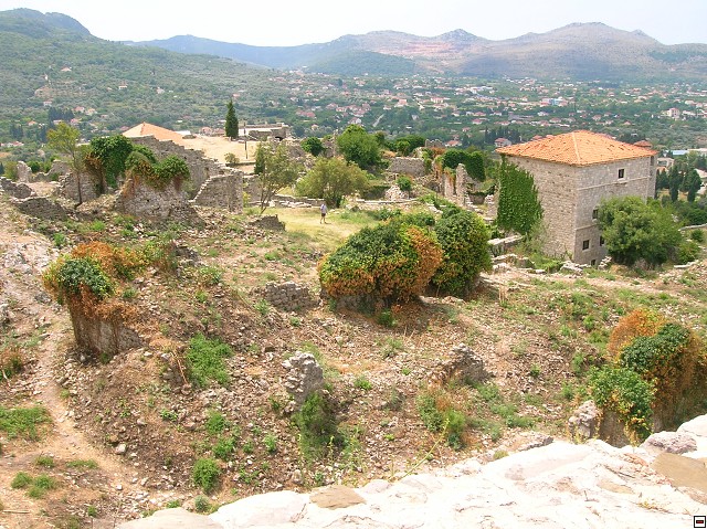 img00286.jpg