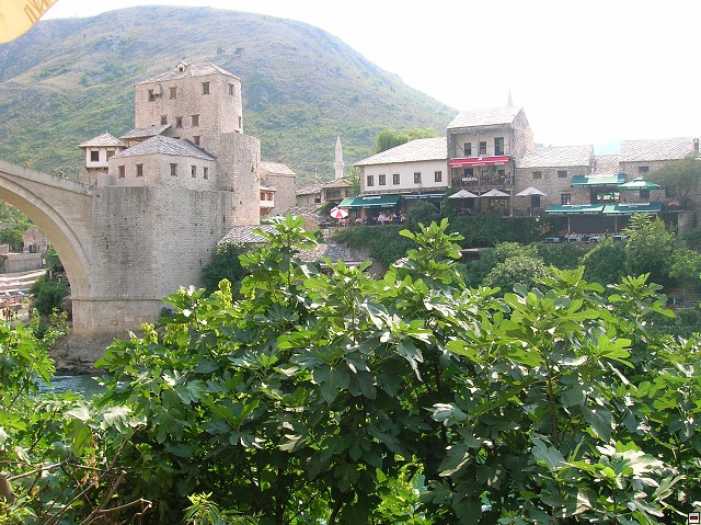 img00345.jpg